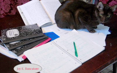 An Author’s Best Resource: the Active Reader
