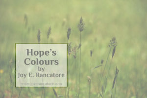 "Hope's Colours" a fantasy short story by Joy E. Rancatore