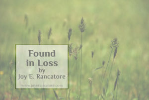 "Found in Loss," a fantasy short story written by Joy E. Rancatore as part of her Tales of the Faerie Shepherds series