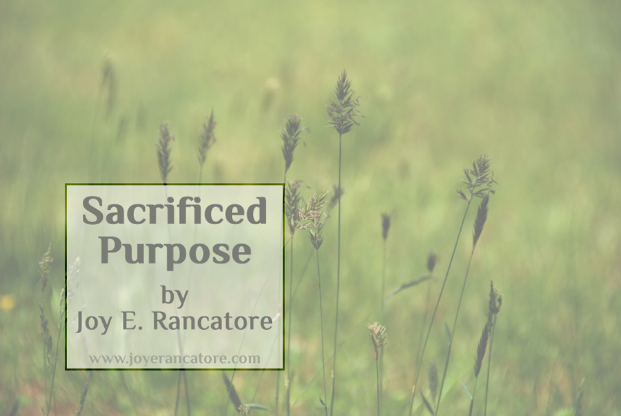 "Sacrficed Purpose" by Joy E. Rancatore provides another brief glimpse at the world surrounding Faerie Shepherds and follows a #BlogBattle prompt, "Shift." www.joyerancatore.com