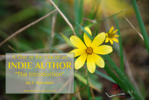 Welcome to the launch of what I hope will be a fun series of once-a-month behind-the-scenes looks at the daily life of an Indie Author. www.joyerancatore.com