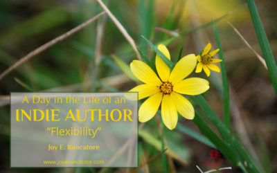 A Day in the Life of an Indie Author: Flexibility