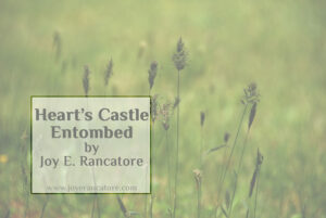 Escape with "Heart's Castle Entombed," a fantasy short story by Indie Author Joy E. Rancatore. www.joyerancatore.com
