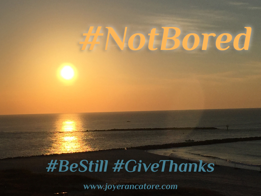Most of the US is under stay-at-home orders, thanks to Covid-19. I’ve heard from way too many people, “#AmBored.” Let's spread #NotBored instead! www.joyerancatore.com