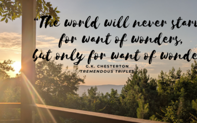 MiniMusing: Wonder